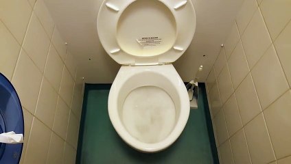 Les toilettes les moins économiques au monde