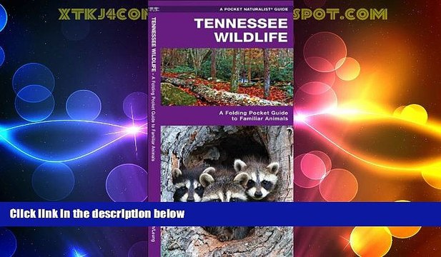 Big Deals Tennessee Wildlife: A Folding Pocket Guide to Familiar Species (Pocket Naturalist Guide
