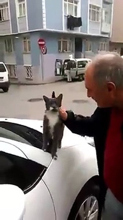 sev beni amca