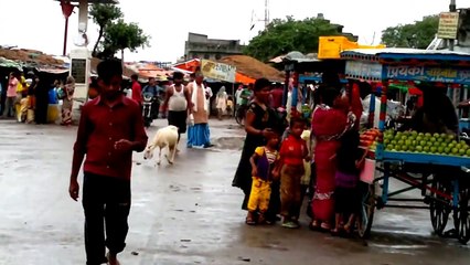 Life style of Bihar India (Bairgania sitamarhi bihar)