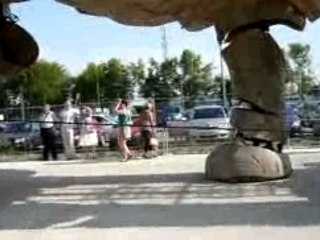 L'éléphant du hangar a bananes!