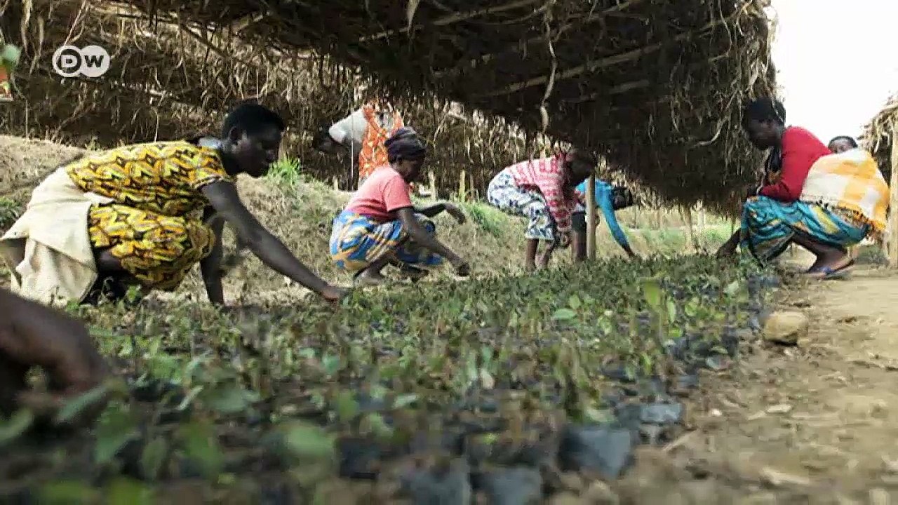 Swamp thing: Saving Rwanda's marsh lands | Envi...