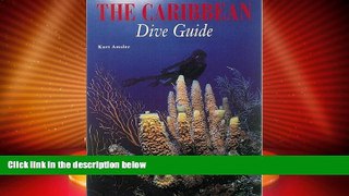Big Deals  The Caribbean Dive Guide  Best Seller Books Most Wanted