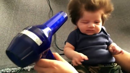 Irlande : ce bébé a une crinière de lion !