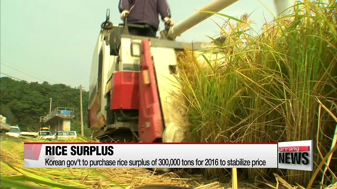 Korean gov't to purchase all surplus rice for 2016