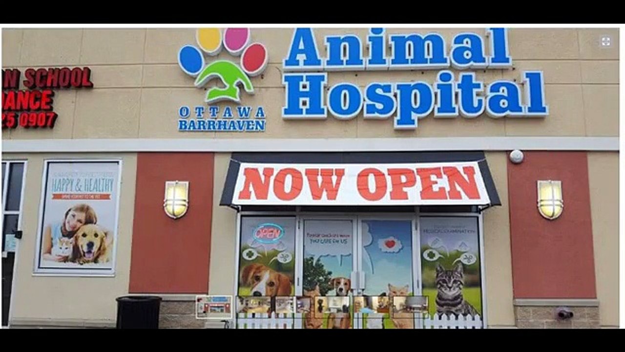 Animal clinic