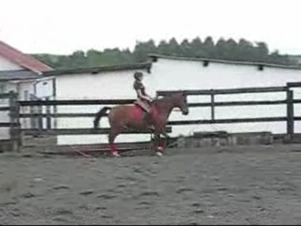 Montageaout