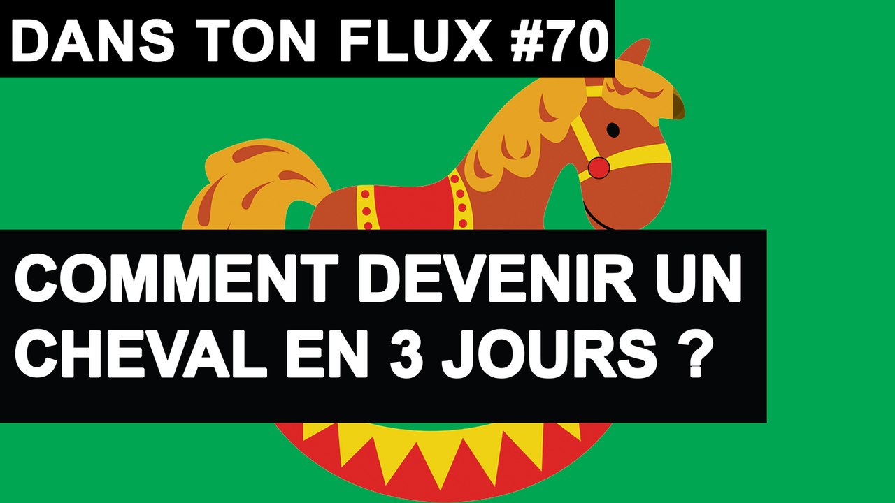 Comment devenir un cheval en 3 jours ? - #DansTonFlux 70