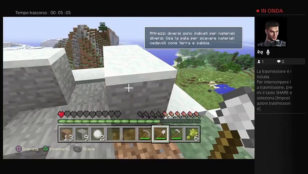 Minecraft (4)