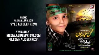 Syed Ali Deep Rizvi Nohay Promo 2017