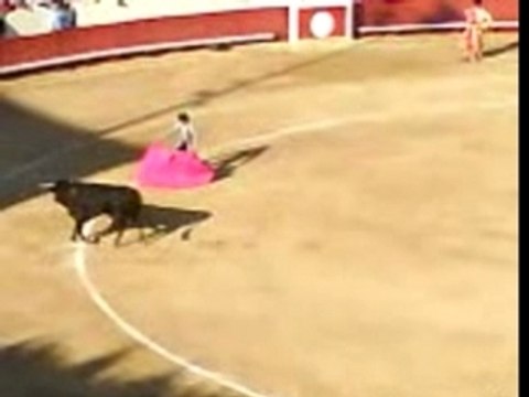 Corrida beziers 2007 Roulade de toro