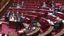 Patrick Kanner : le Sénat crée 