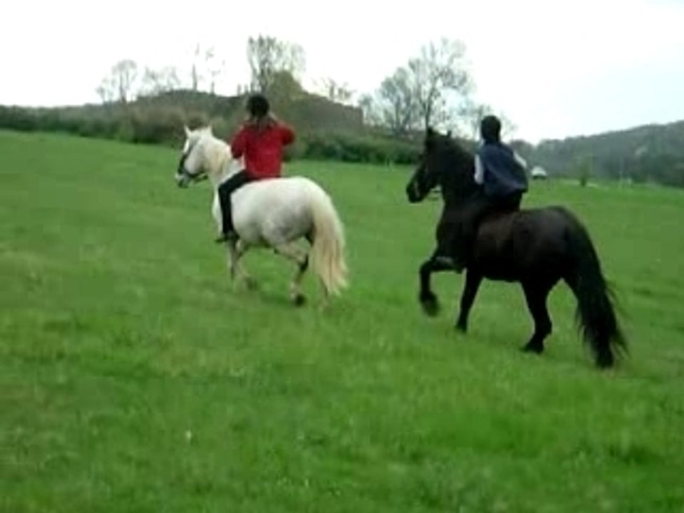 galop