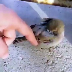 رات دیر تک جاگنے کا نتیجہ