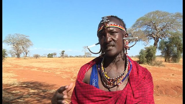 Kenya: Des massaï‘’Gardiens de lions'' troquent leur lance pour un GPS