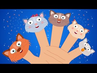 Finger Family Kitten