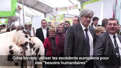 Utiliser les excédents européens pour des "besoins humanitaires"