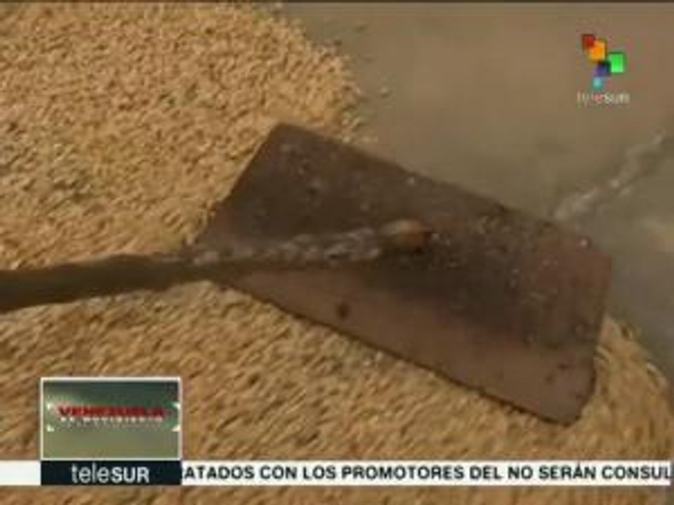 Venezuela: aplican en Portuguesa programa piloto para caficultores