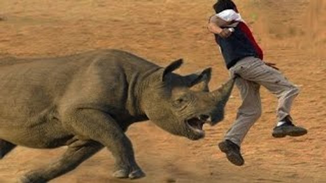 Most Shocking Animal Attacks On Human - Crazy Animal Attack People,Rhino, Crocodile, Bear – Buena