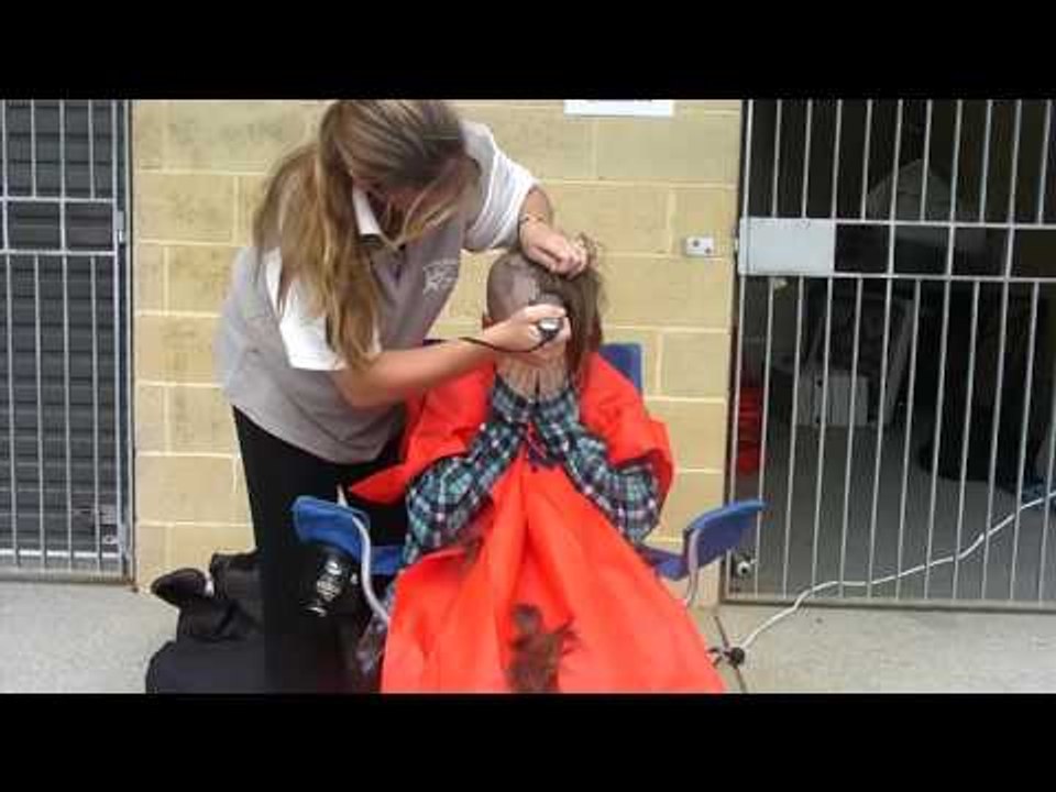 Stacy does the Worlds Greatest Shave