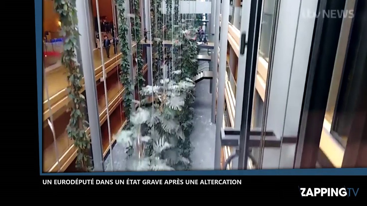 Un eurodéputé dans un "état grave" après une bagarre au Parlement européen, les images chocs (Vidéo)