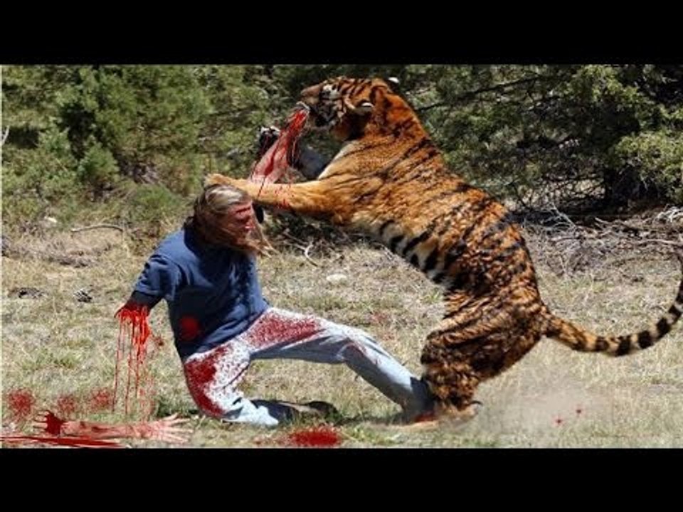 Most Shocking Animal Attacks on HumanPeople Real Video on Camera  Lion, Tiger Attack