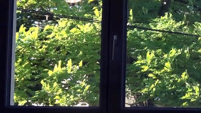 Dijon appart type maison triplex - Agence CARREZ Immobilier