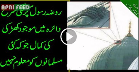 Rain window of Roza Rasool