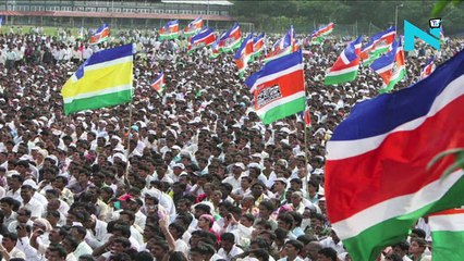 #SurgicalStrike Not govts but media have declared war-Swara Bhaskar