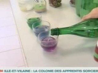 Harry Potter's Magical Colony 🧙️