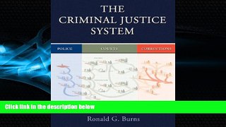 complete  The Criminal Justice System