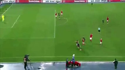 Joe Allen Amazing Goal - Austria 0-1 Wales - (06/10/2016)