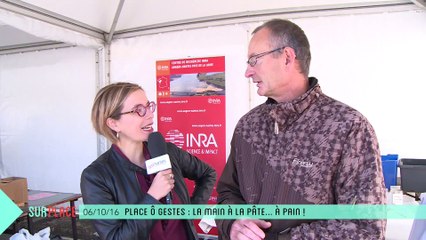 Sur Place à Place Ô Gestes (3/3) : travaux pratiques avec l'INRA