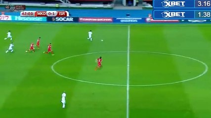 Tal Ben Haim Goal FYR Macedonia 0-2 Israel