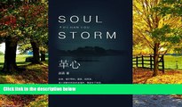 Big Deals  Soul Storm (Chinese Edition)  Best Seller Books Best Seller