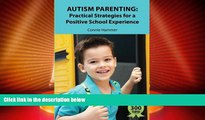 Big Deals  Autism Parenting: Practical Strategies for a Positive School Experience: Over 300 tips