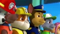 NEW Paw Patrol Episodes Angry Birds & Secret Life of Pets