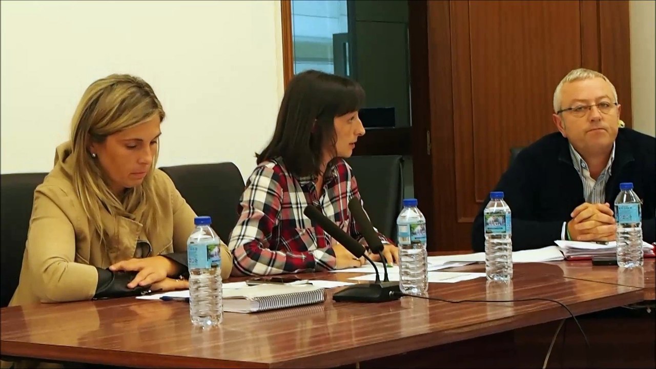 Pleno Vimianzo octubre 2016