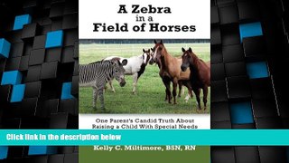 Big Deals  A Zebra in a Field of Horses: One Parent s Candid Truth About Raising a Child with