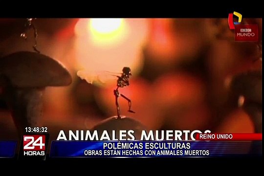 Artista británica crea diminutas esculturas con animales pero ¡muertos!