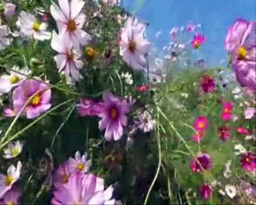 ERSEN      --YAĞMUR  DUASI-