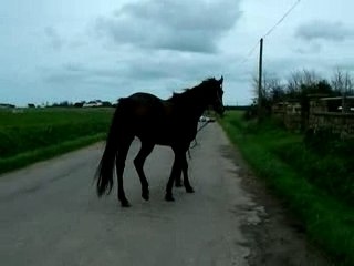 Dja Beau: Discover the Unique Style