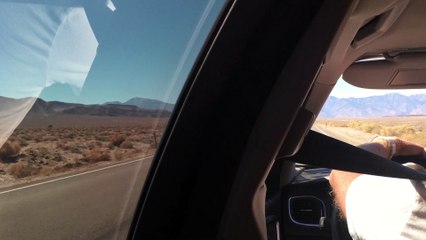 A Journey to The (fallen) Joshua Tree