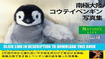 [PDF] The Emperor penguins of Antarctica NATUREs LIFE (Japanese Edition) Popular Collection
