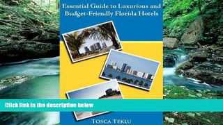 Big Deals  Essential Guide to Luxurious and Budget-Friendly Florida Hotels  Full Read Best Seller