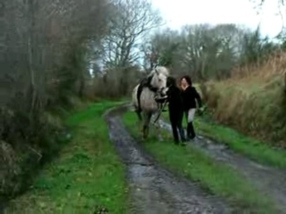 moi et gaspar
