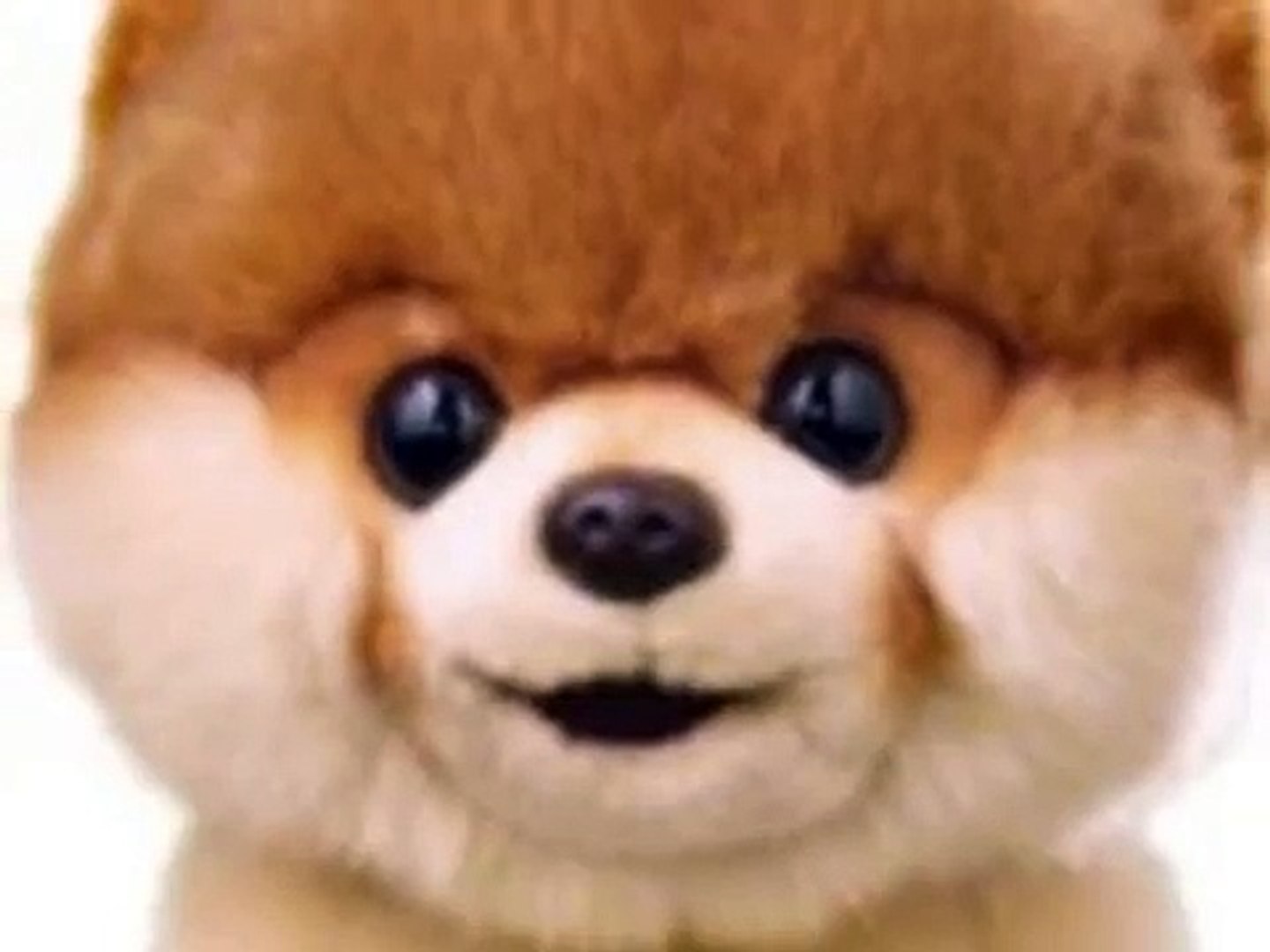 el peluche mas lindo del mundo