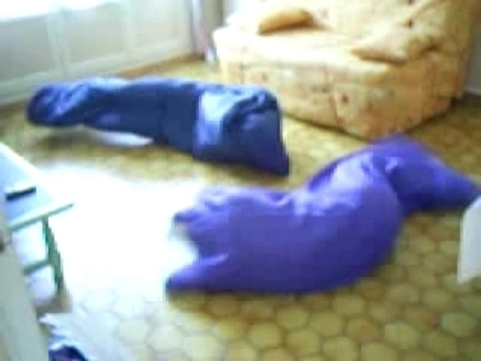 Saumon de couchage
