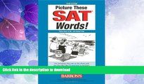 READ  Picture These SAT Words FULL ONLINE