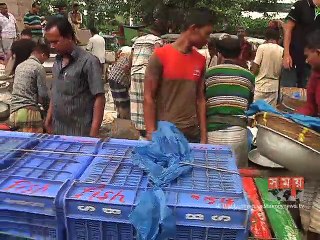 সরবরাহ বেশি থাকলেও পাইকারি বাজারে চড়া ইলিশ